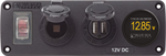 4366-BSS Switch Panel