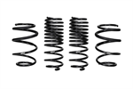 EIBACH E10-201-006-01-22 Lowering Kit