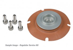 AEROMOTIVE 13003 REGULATOR REPAIR KIT