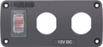 4364-BSS Switch Panel