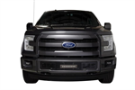 PUTCO 87160L GRILLE INSERT 15 F150 SS BLACK