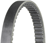DAYCO HP2003 Drive Belt