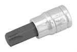 PERFORMANCE TOOL W38855 STAR BIT SOCKET T55