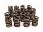 COMP CAMS 94216 VALVE SPRINGS W/ DAMPENER