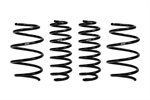 EIBACH E10-82-082-01-22 COIL OVER SHOCK SPRINGS